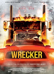 Driver from Hell (Wrecker) [Telugu + Tamil + Hindi]