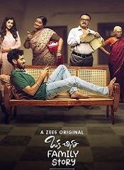 Oka Chinna Family Story – Season 01 [Telugu + Tamil]