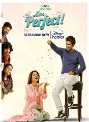 Miss Perfect – Season 01 [Telugu + Tamil + Hindi + Malayalam + Kannada]